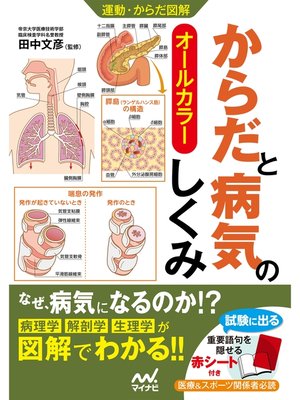 運動・からだ図解 からだと病気のしくみ - ebook